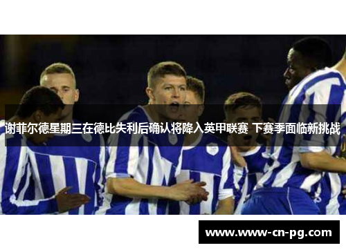 谢菲尔德星期三在德比失利后确认将降入英甲联赛 下赛季面临新挑战