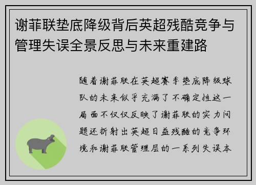 谢菲联垫底降级背后英超残酷竞争与管理失误全景反思与未来重建路 谢菲联垫底降级背后英超残酷竞争与管理失误全景反思与未来重建路
